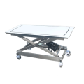 New style electric lift surgical veterinary examination table